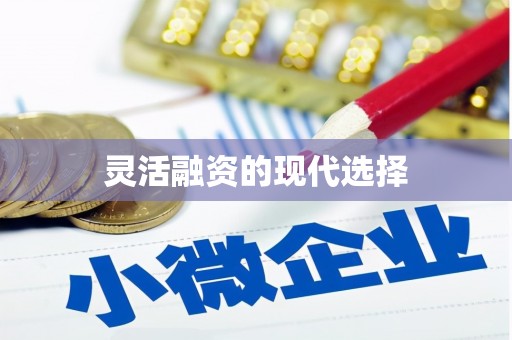 礼县灵活融资的现代选择