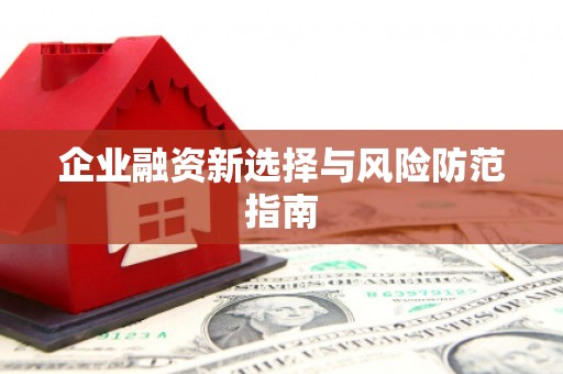 礼县企业融资新选择与风险防范指南