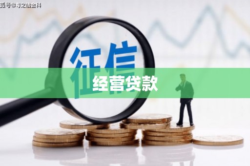礼县经营贷款