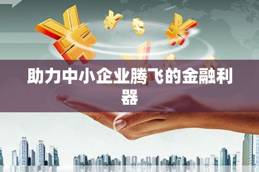 礼县助力中小企业腾飞的金融利器