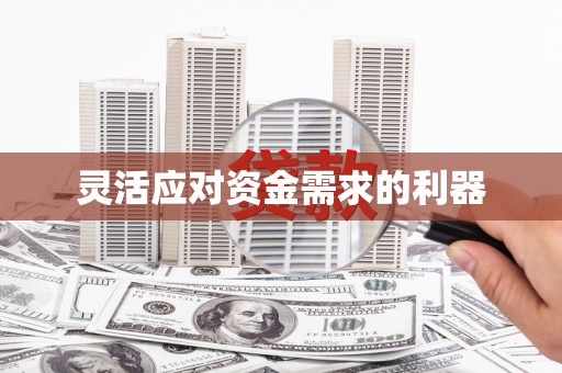 礼县灵活应对资金需求的利器