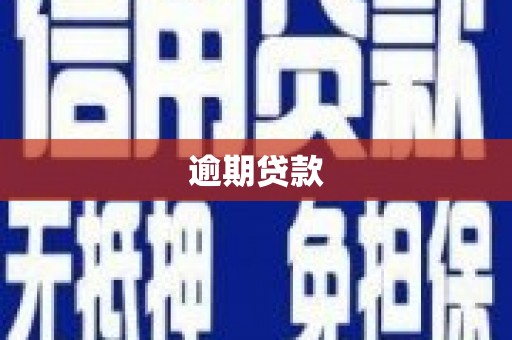 礼县逾期贷款