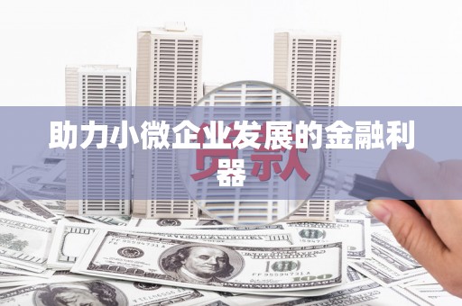 礼县助力小微企业发展的金融利器