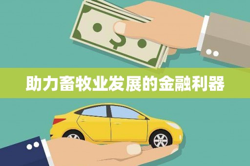 礼县助力畜牧业发展的金融利器