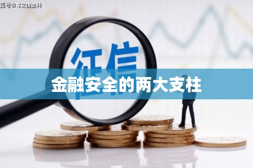 礼县金融安全的两大支柱