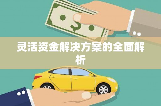 礼县灵活资金解决方案的全面解析