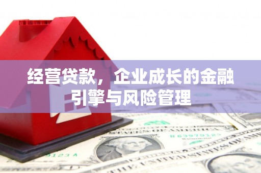 礼县经营贷款，企业成长的金融引擎与风险管理