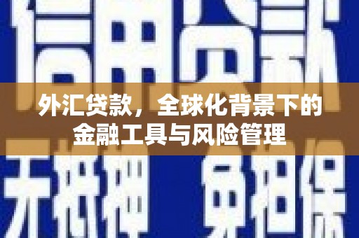 礼县外汇贷款，全球化背景下的金融工具与风险管理