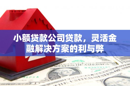 礼县小额贷款公司贷款，灵活金融解决方案的利与弊