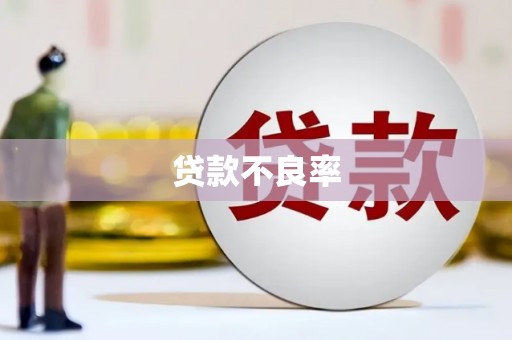 礼县贷款不良率