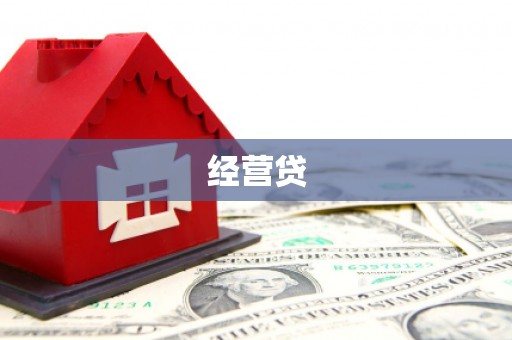 礼县经营贷